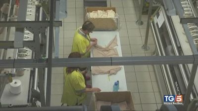 Il pil in crescita bene l'industria