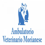 Ambulatorio Veterinario Morianese