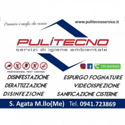 Pulitecno Service logo