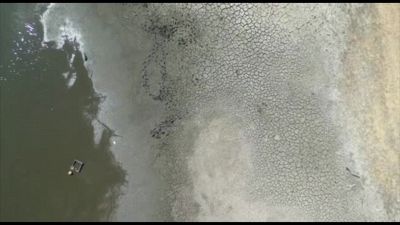 Siccità a Londra, le rive di uno stagno prosciugate