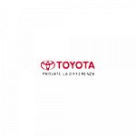 Mariani Auto Srl - Centro Assistenza Autorizzato  Toyota