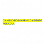 D'Ambrosio Domenico Azienda Agricola
