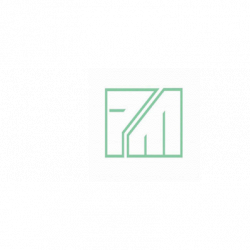 Picco Meccanica logo