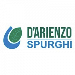 D'Arienzo logo