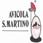 Avicola San Martino sas