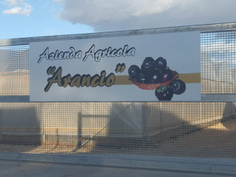 Azienda Agricola Arancio - logo
