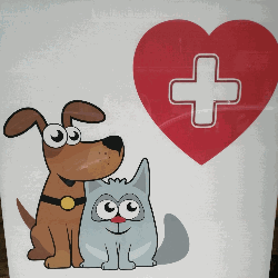 Veterinario De Serio Maria logo