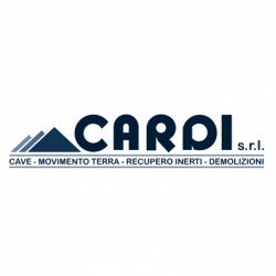 Cardi Srl logo