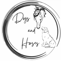 Dogs And Horses Centro Cinofilo logo