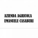 Azienda Agricola Casaburi - Legna da Ardere