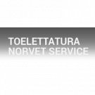 Toelettatura Norvet Service
