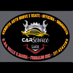 Car Service Luca Auto Nuove Usate Vendita Assistenza logo