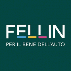 Fellin Luca logo