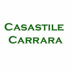Casastile Carrara logo