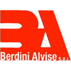 Berdini Alvise logo