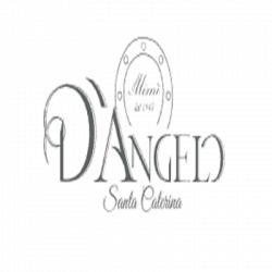 D'Angelo Santa Caterina logo