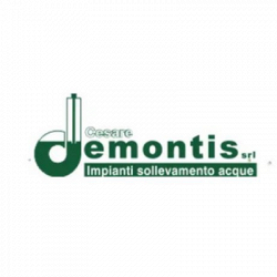 Demontis Cesare logo