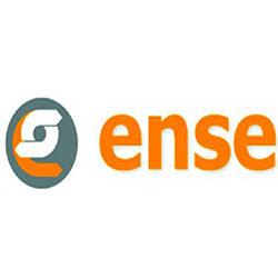 Ense Srl logo