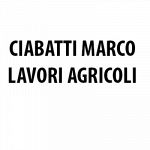 Ciabatti Marco Lavori Agricoli