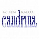 Azienda Agricola Caudrina
