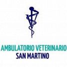 Ambulatorio Veterinario San Martino