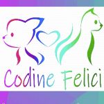 Codine Felici