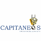 Capitaneo Service