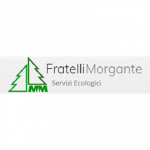 MM Fratelli Morgante