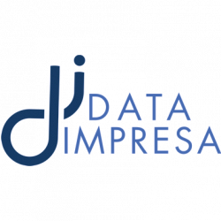 Data Impresa Srl Stp Studio di Dottori Commercialisti e Consulenti del Lavoro logo
