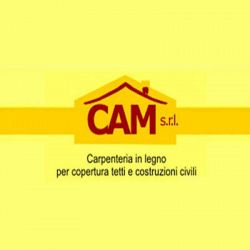 C.A.M. logo