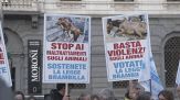 Il carcere e maximulte, è in vigore la legge Brambilla