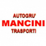 Mancini Trasporti Noleggio Autogru'