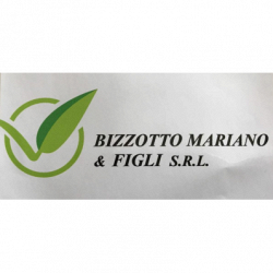 Bizzotto Mariano e Figli Srl logo