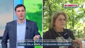 Nel parco di Bologna invaso dalle cornacchie