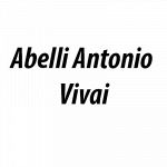 Abelli Antonio Vivai