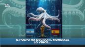 Il polpo ha deciso che chi vince il Mondiale è…