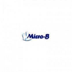 Micro-B logo
