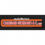 Autofficina Callegari Giordano e C.