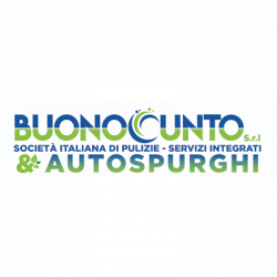 Buonocunto Autospurghi S.r.l. logo