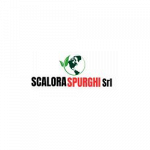 Scalora Spurghi