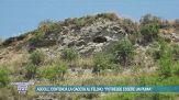 Ascoli, continua la caccia al felino: "Potrebbe essere un puma"