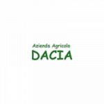 Pensione per Cani Dacia