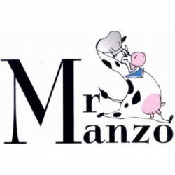 Mr Manzo Griglieria logo