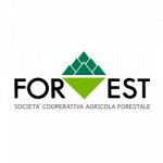 Forest S.C.A.F.