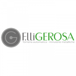 Fratelli Gerosa Srl logo