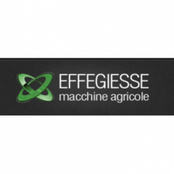 Effegiesse logo