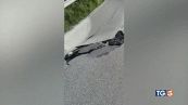 La frana non si ferma spezzati i collegamenti