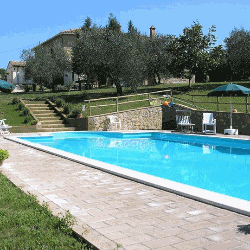 Agriturismo Bonellino Vecchio - Azienda Agricola logo