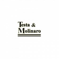 Testa e Molinaro Spa logo