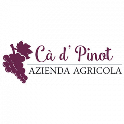 Azienda Agrituristica Ca' D' Pinot logo